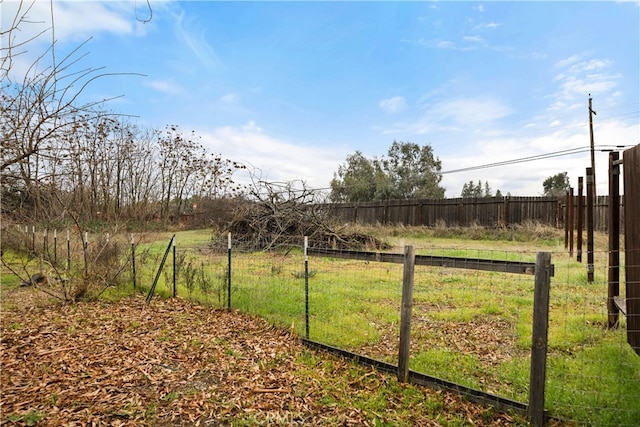 view of yard featuring a rural view