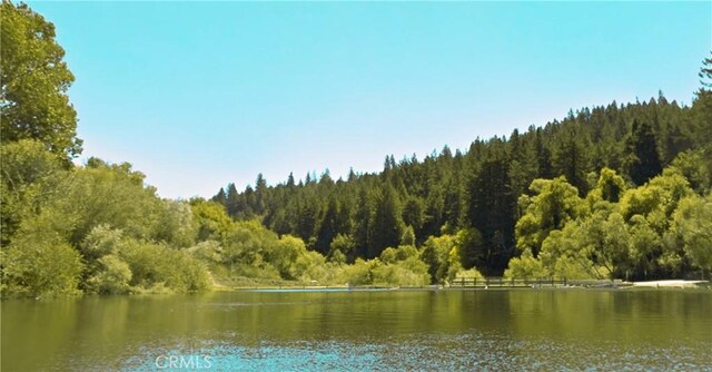 18176 Hwy 116, Guerneville, CA 95446 - photo 8
