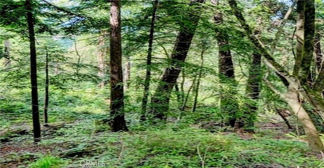 18176 Hwy 116, Guerneville, CA 95446 - photo 5