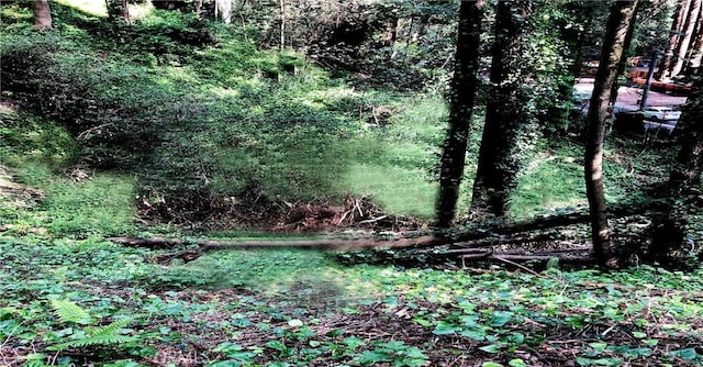 18176 Hwy 116, Guerneville, CA 95446 - photo 2