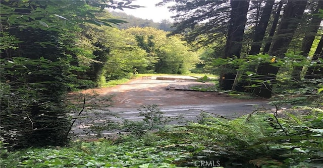 18176 Hwy 116, Guerneville, CA 95446 - photo 3