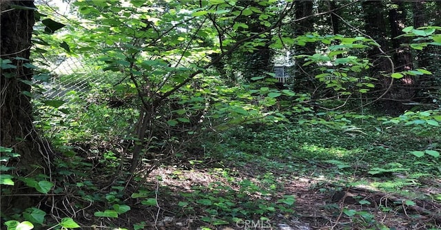 18176 Hwy 116, Guerneville, CA 95446 - photo 4