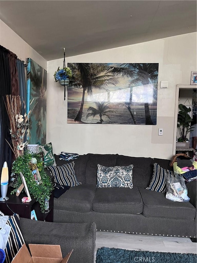 living room featuring vaulted ceiling