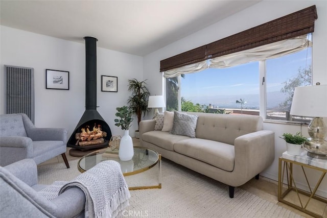 living room featuring a wood stove