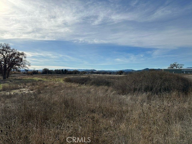 6965 Hammond Ave, Upper Lake, CA 95485 - photo 13