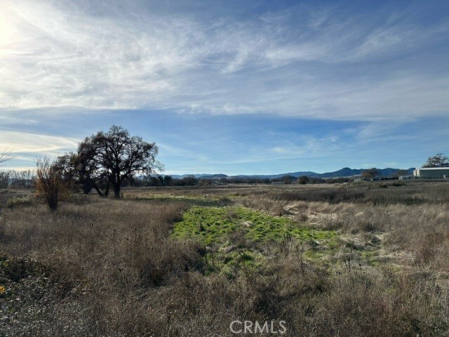 6965 Hammond Ave, Upper Lake, CA 95485 - photo 15