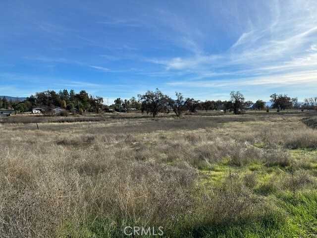 6965 Hammond Ave, Upper Lake, CA 95485 - photo 11