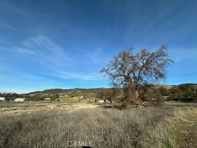 6965 Hammond Ave, Upper Lake, CA 95485 - photo 2