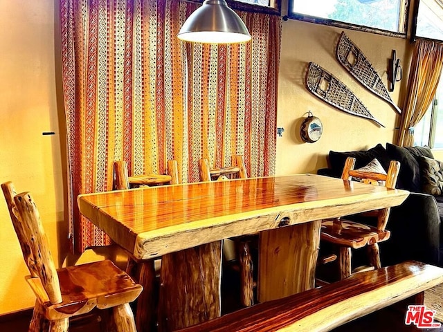 dining area with a wealth of natural light