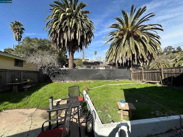 view of yard featuring a patio area