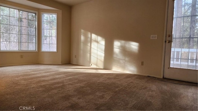 unfurnished room featuring carpet floors