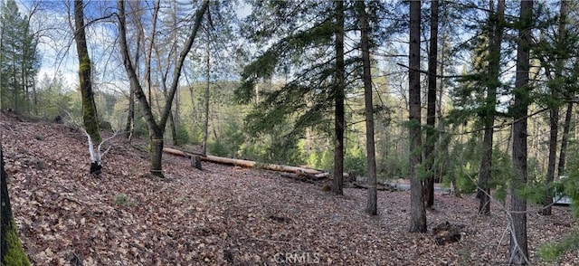 10280 Mulberry St, Loch Lomond, CA 95461 - photo 3
