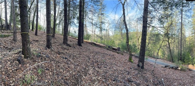 10280 Mulberry St, Loch Lomond, CA 95461 - photo 1