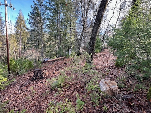 10280 Mulberry St, Loch Lomond, CA 95461 - photo 5