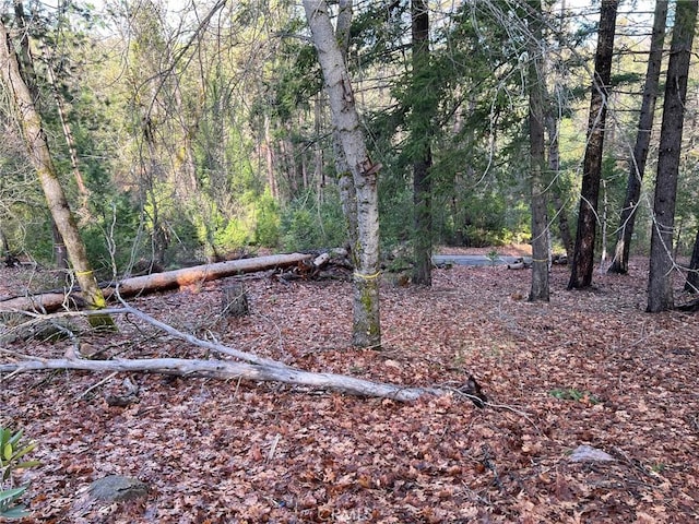 10280 Mulberry St, Loch Lomond, CA 95461 - photo 2