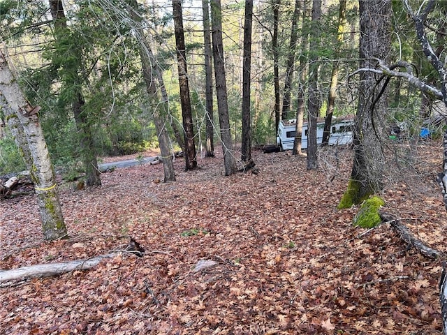 10280 Mulberry St, Loch Lomond, CA 95461 - photo 4