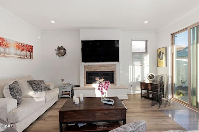 living room featuring ornamental molding and wood-type flooring