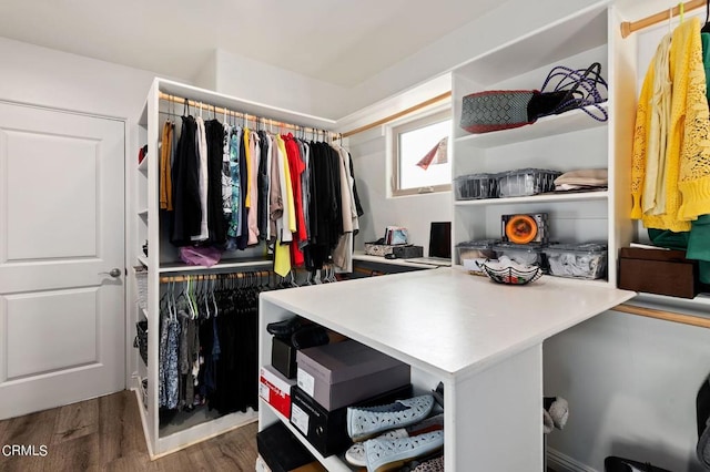 walk in closet featuring dark wood-type flooring