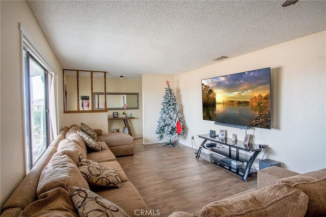 living room featuring wood-type flooring and a textured ceiling