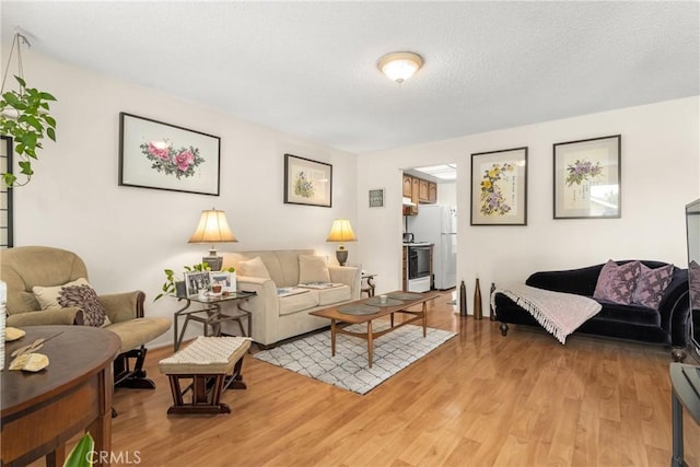 living room with a textured ceiling and light wood-type flooring