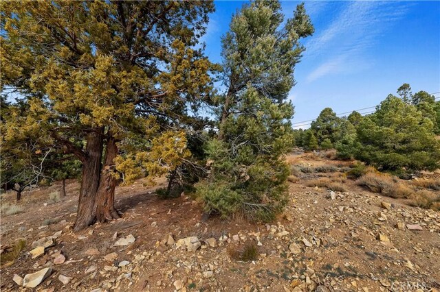 0 Sunny Slope Ln, Big Bear City, CA 92314 - photo 10