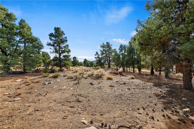0 Sunny Slope Ln, Big Bear City, CA 92314 - photo 5