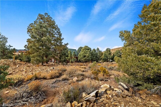 0 Sunny Slope Ln, Big Bear City, CA 92314 - photo 4