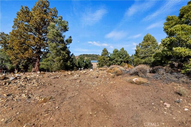 0 Sunny Slope Ln, Big Bear City, CA 92314 - photo 6