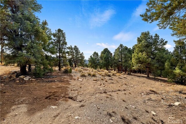 0 Sunny Slope Ln, Big Bear City, CA 92314 - photo 8