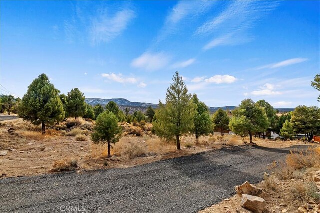 0 Sunny Slope Ln, Big Bear City, CA 92314 - photo 2