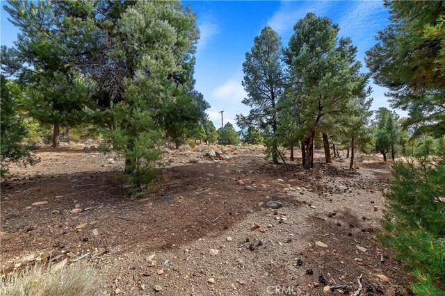 0 Sunny Slope Ln, Big Bear City, CA 92314 - photo 7