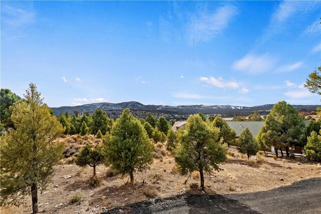 0 Sunny Slope Ln, Big Bear City, CA 92314 - photo 1