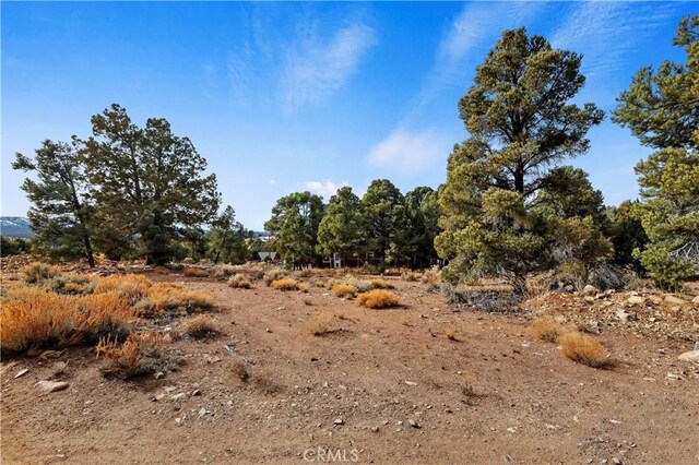 0 Sunny Slope Ln, Big Bear City, CA 92314 - photo 9