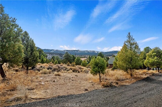 0 Sunny Slope Ln, Big Bear City, CA 92314 - photo 3
