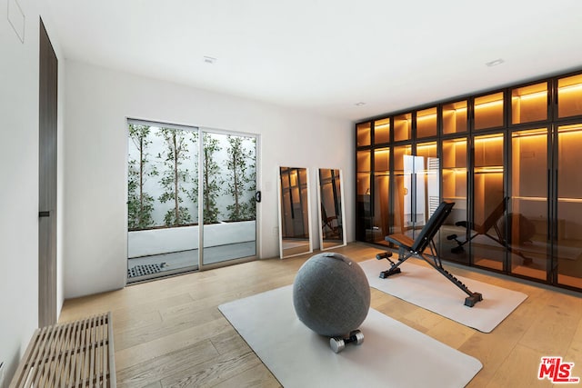 exercise area featuring light hardwood / wood-style flooring