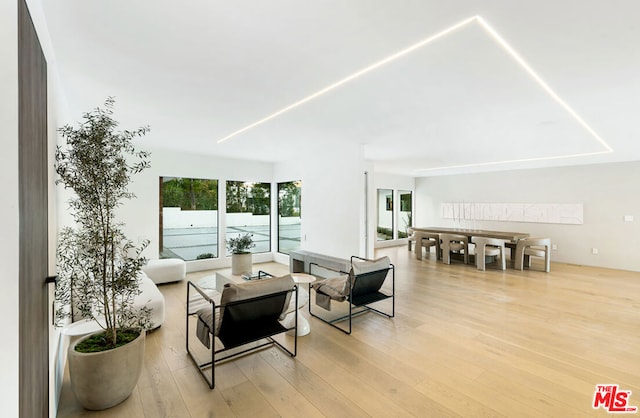 living room with light hardwood / wood-style flooring