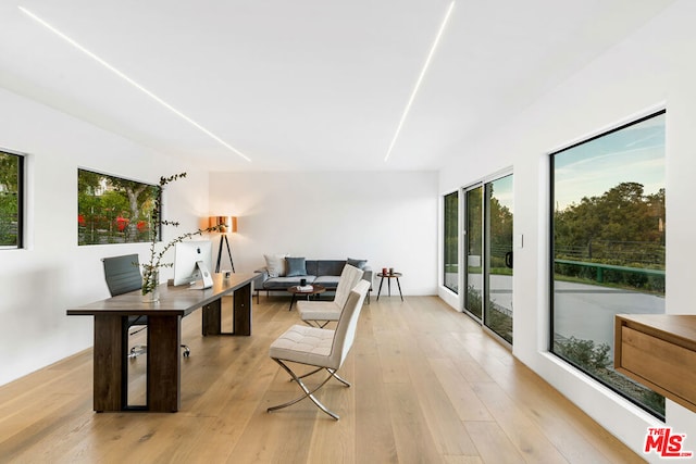 office space featuring light hardwood / wood-style floors