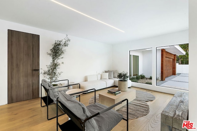 living room with light hardwood / wood-style floors