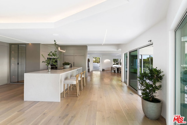 kitchen with gray cabinetry, light hardwood / wood-style floors, and plenty of natural light