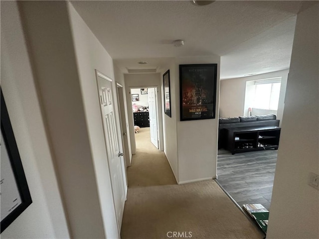 hall featuring light colored carpet and a textured ceiling