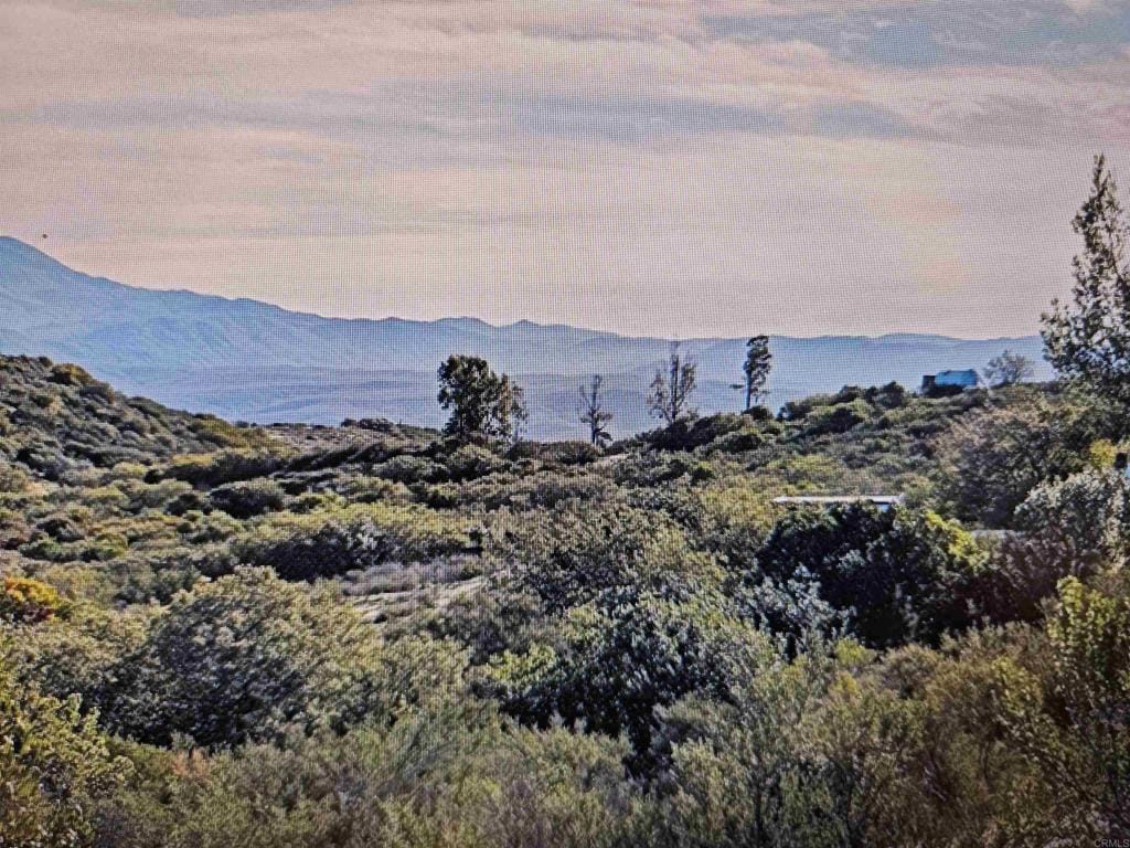 Lone Oak Trl, Ramona, CA 92065
