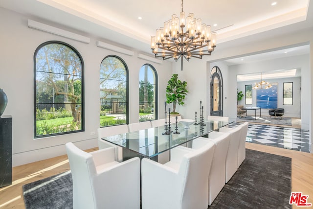 dining space featuring a wealth of natural light and a tray ceiling