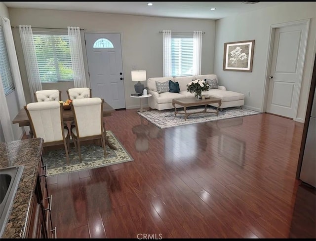 living room with sink and dark wood-type flooring