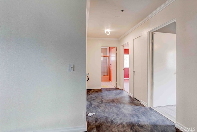 hall featuring carpet floors and crown molding