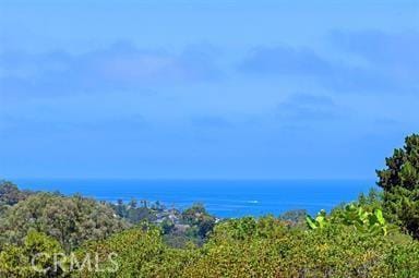 7734 Esterel Dr, La Jolla, CA 92037 - photo 5