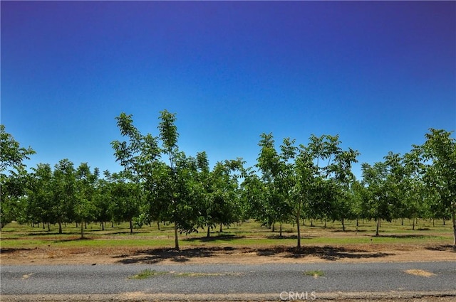 0 Mcfadden Ln, Chico CA, 95928 land for sale