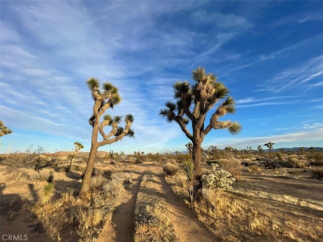 0 La Brisa Dr, Yucca Valley, CA 92284 - photo 15