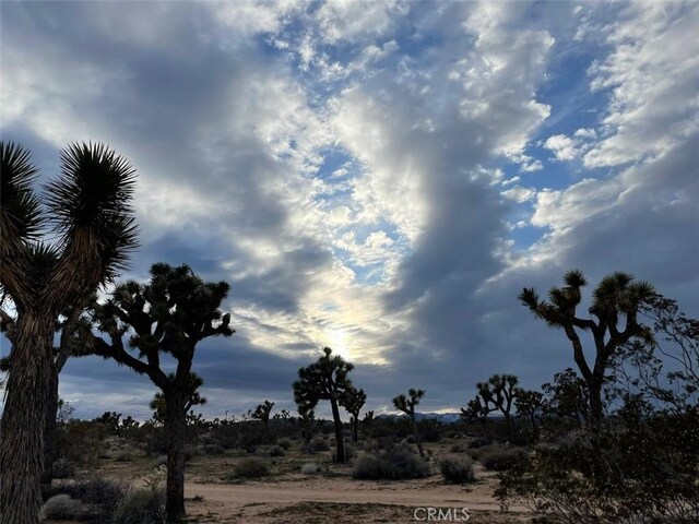 0 La Brisa Dr, Yucca Valley, CA 92284 - photo 16