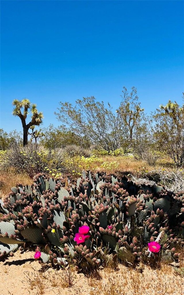 0 La Brisa Dr, Yucca Valley, CA 92284 - photo 22