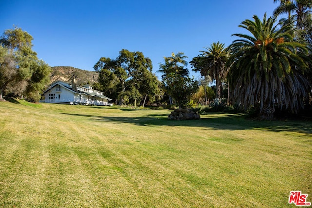 view of yard featuring a mountain view